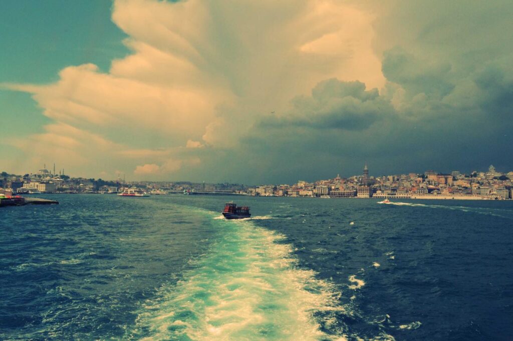 Picsum ID: 271